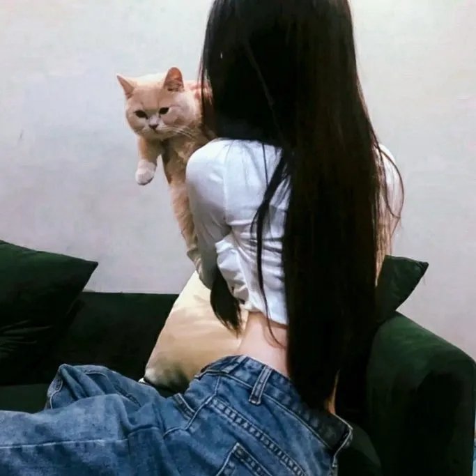 羽毛