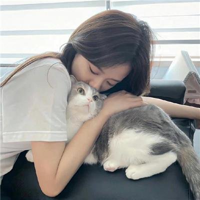 贞观之治